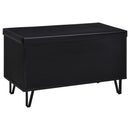 Brixton Padded Storage Bench by Clayson Design