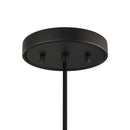 Paige 1-Light Pendant Light