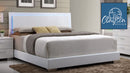 The Liora Modern LED Platform Bed by Clayson Design