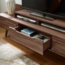 Chaya 74" TV Stand